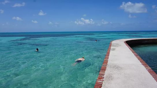 MUST VISIT - Dry Tortugas National Park (Things To Do)